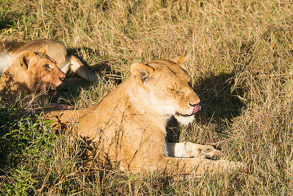 20130913_Kenya_0001-2