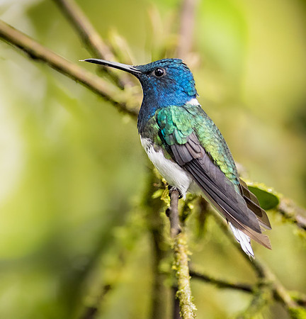 20150107_Ecuador_0002