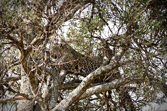 20130917_Kenya_0064