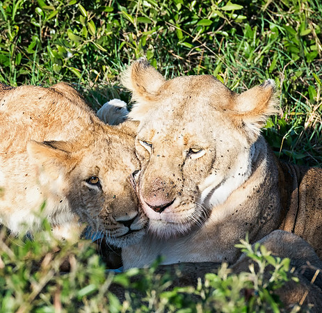 20130913_Kenya_0006-2