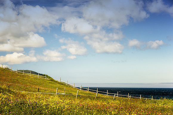 20150802_Portfolio Photos_0008