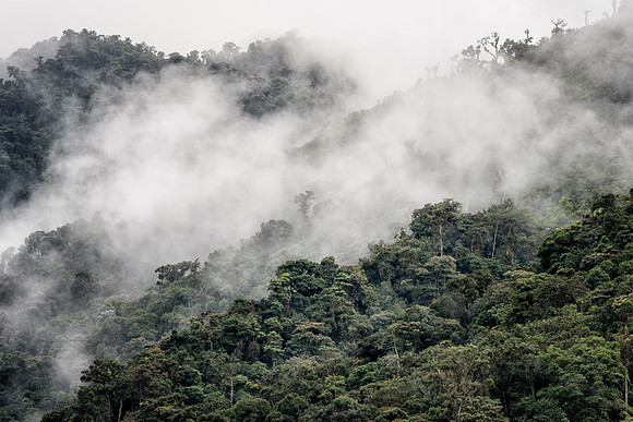 20150106_Ecuador_0001