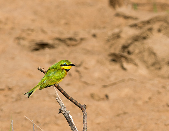 20130917_Kenya_0013