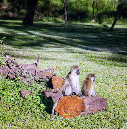 20130912_Kenya_0008