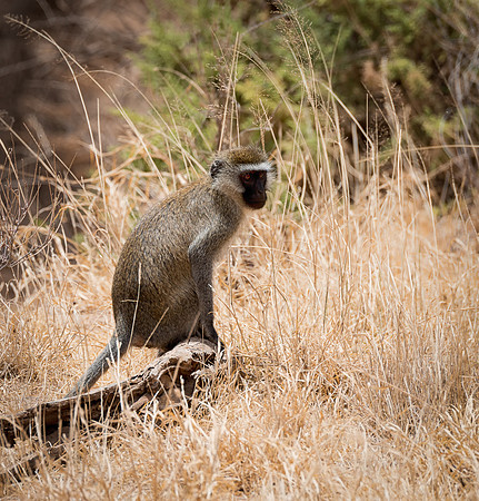 20130909_Kenya_0028