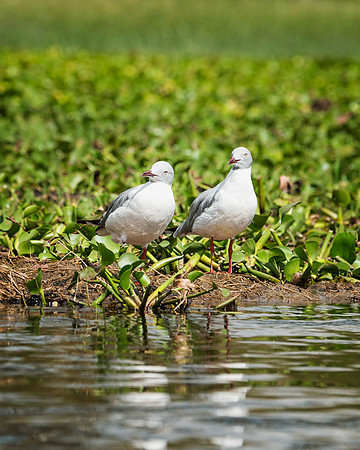 20130912_Kenya_0025