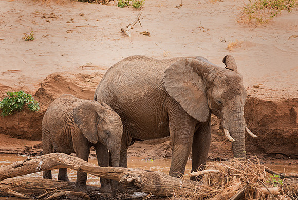 20130909_Kenya_0034