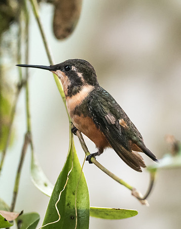 20150105_Ecuador_0001