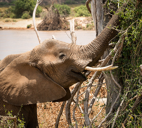 20130909_Kenya_0020