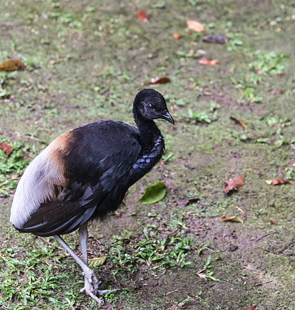 20150116_Ecuador_0007