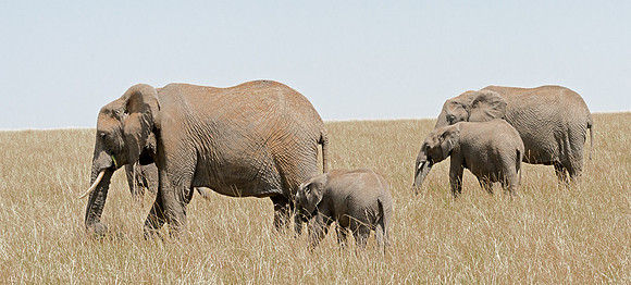 20130915_Kenya_0001-7