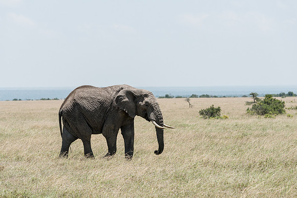 20130907_Kenya_0020