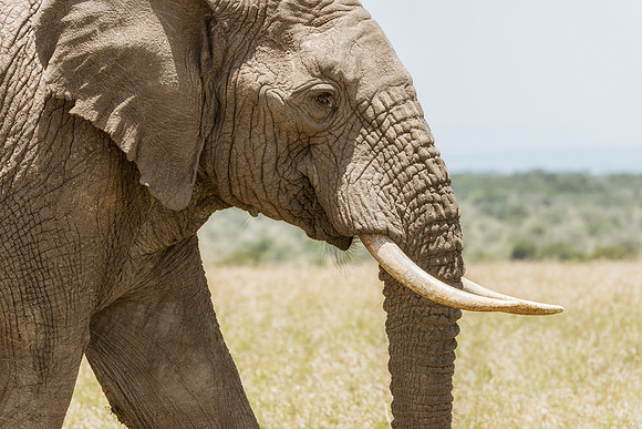 20130907_Kenya_0016