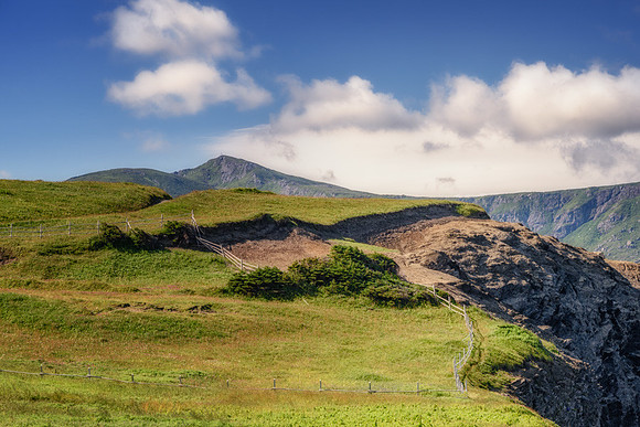 20150802_Portfolio Photos_0007