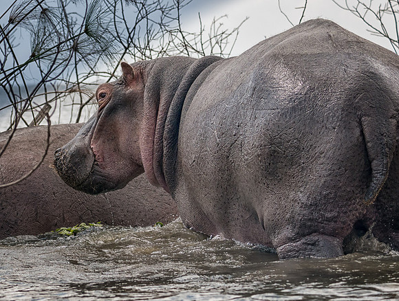 20130912_Kenya_0022