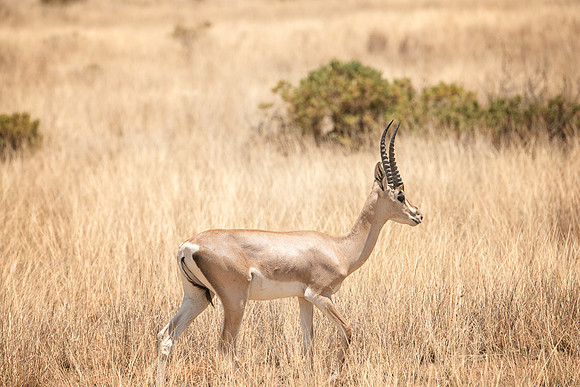 20130909_Kenya_0012-2