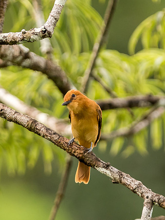 20150116_Ecuador_0001