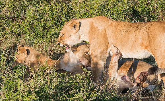 20130913_Kenya_0004-5