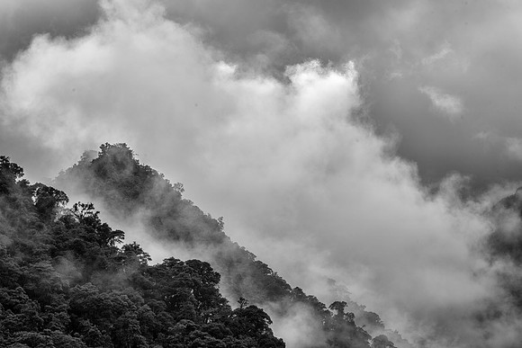 20150108_Ecuador_0019