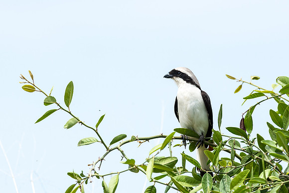 20130919_Kenya_0019