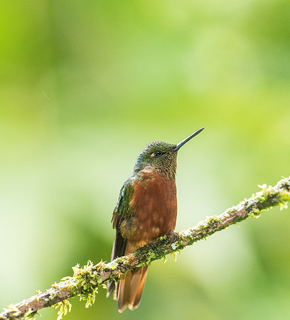 20150110_Ecuador_0016