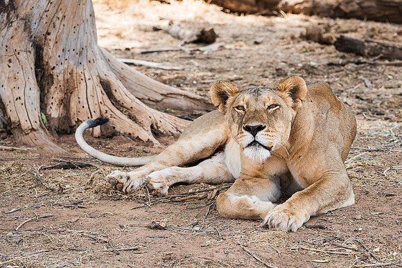 20130909_Kenya_0016-2