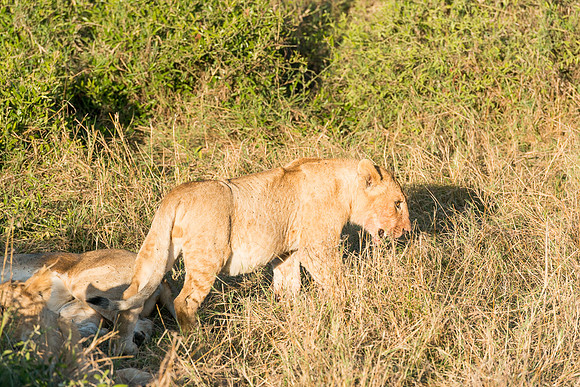 20130913_Kenya_0028