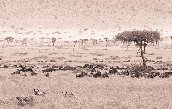 20130919_Kenya_0023
