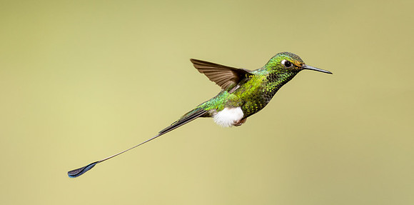 20150106_Ecuador_0001