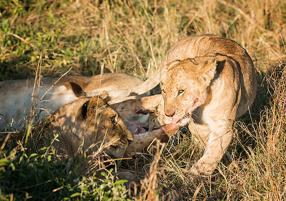 20130913_Kenya_0012-4