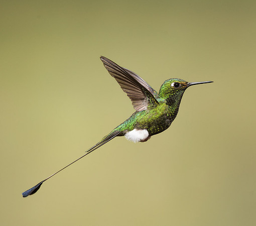 20150106_Ecuador_0001