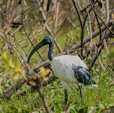 20130912_Kenya_0028