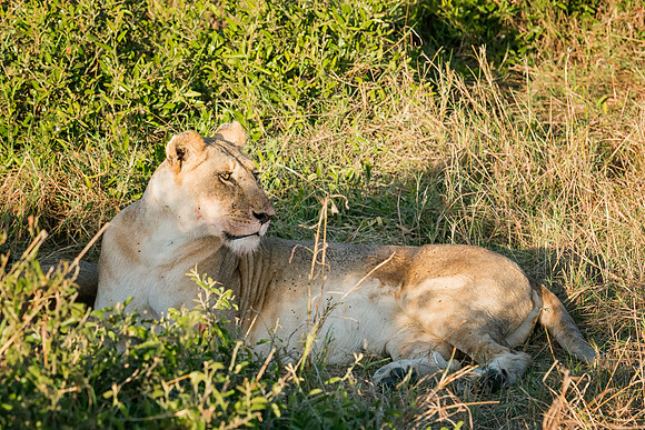 20130913_Kenya_0015-4