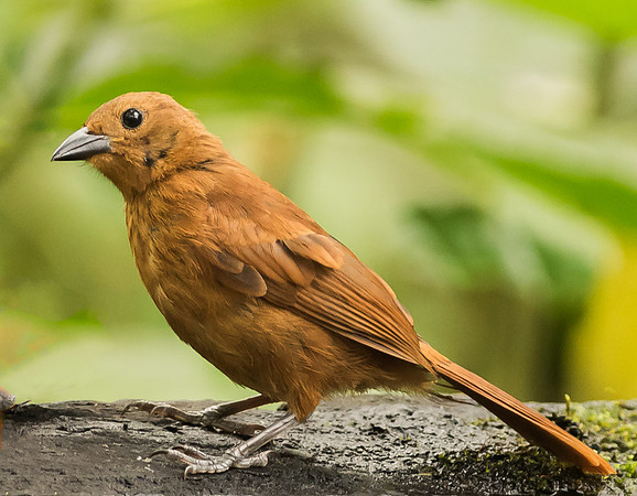 20150107_Ecuador_0008