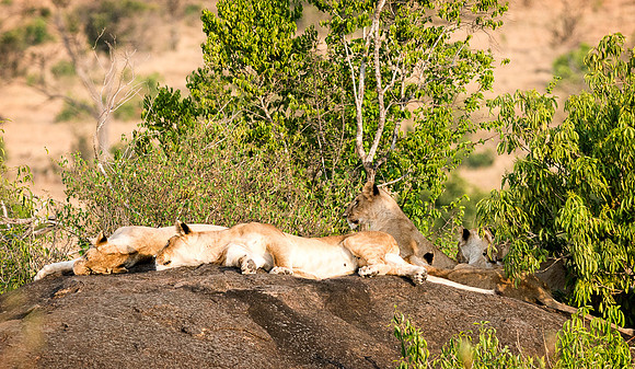 20130917_Kenya_0074