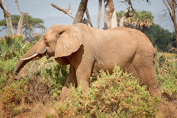 20130909_Kenya_0036