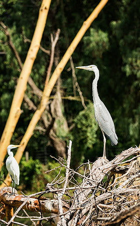 20130912_Kenya_0029