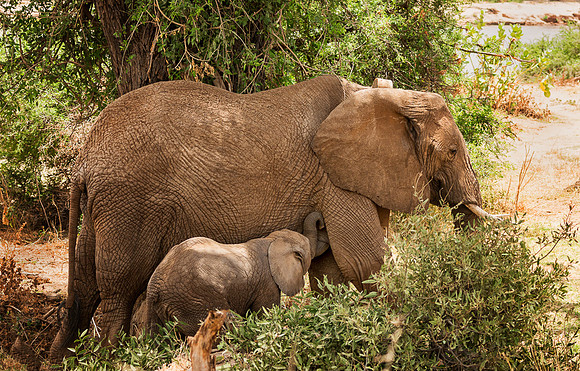 20130909_Kenya_0018