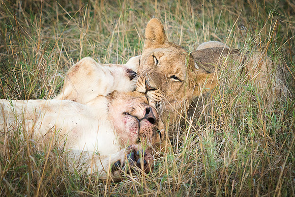 20130913_Kenya_0022-4