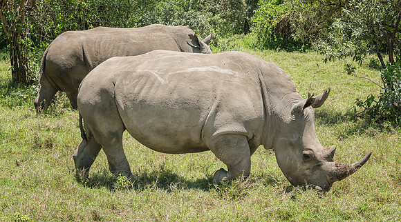 20130911_Kenya_0005-2