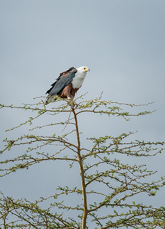 20130912_Kenya_0042