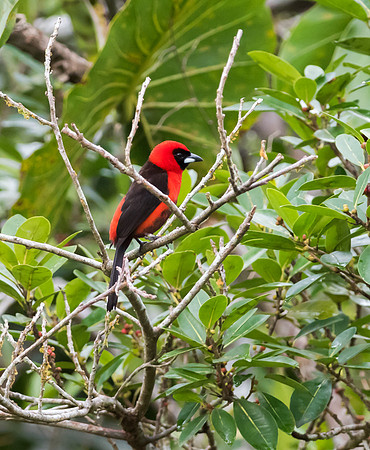 20150116_Ecuador_0013