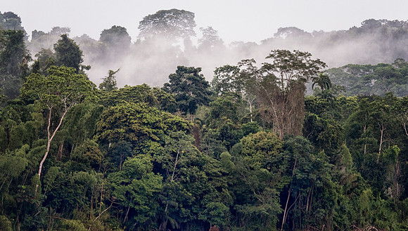 20150117_Ecuador_0001