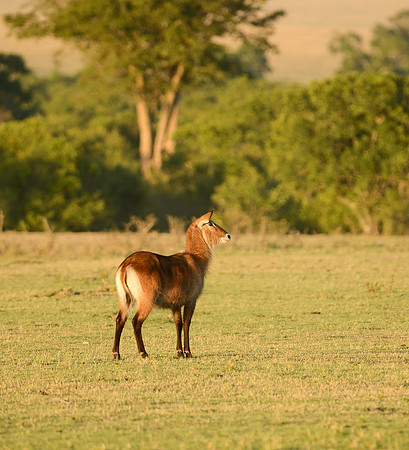 20130914_Kenya_0002-2