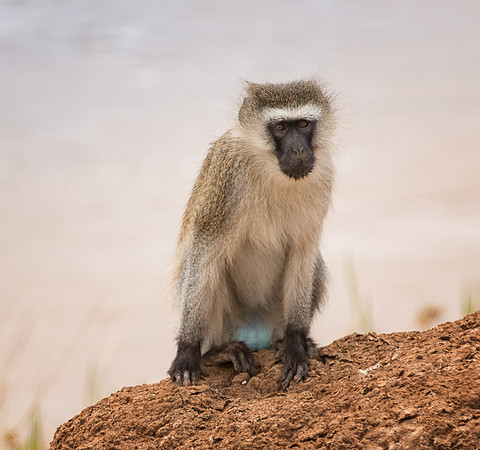 20130909_Kenya_0032