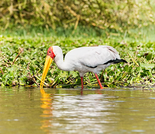 20130912_Kenya_0024