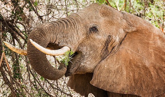 20130909_Kenya_0016