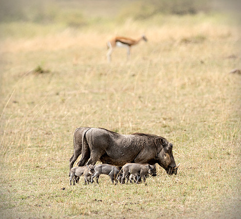 20130917_Kenya_0023
