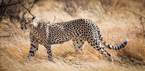 20130909_Kenya_0001