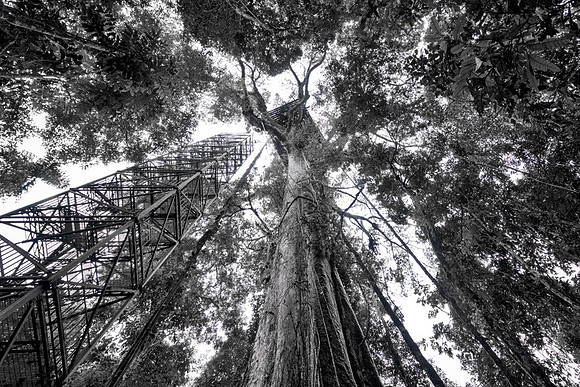 20150118_Portfolio Photos_0100